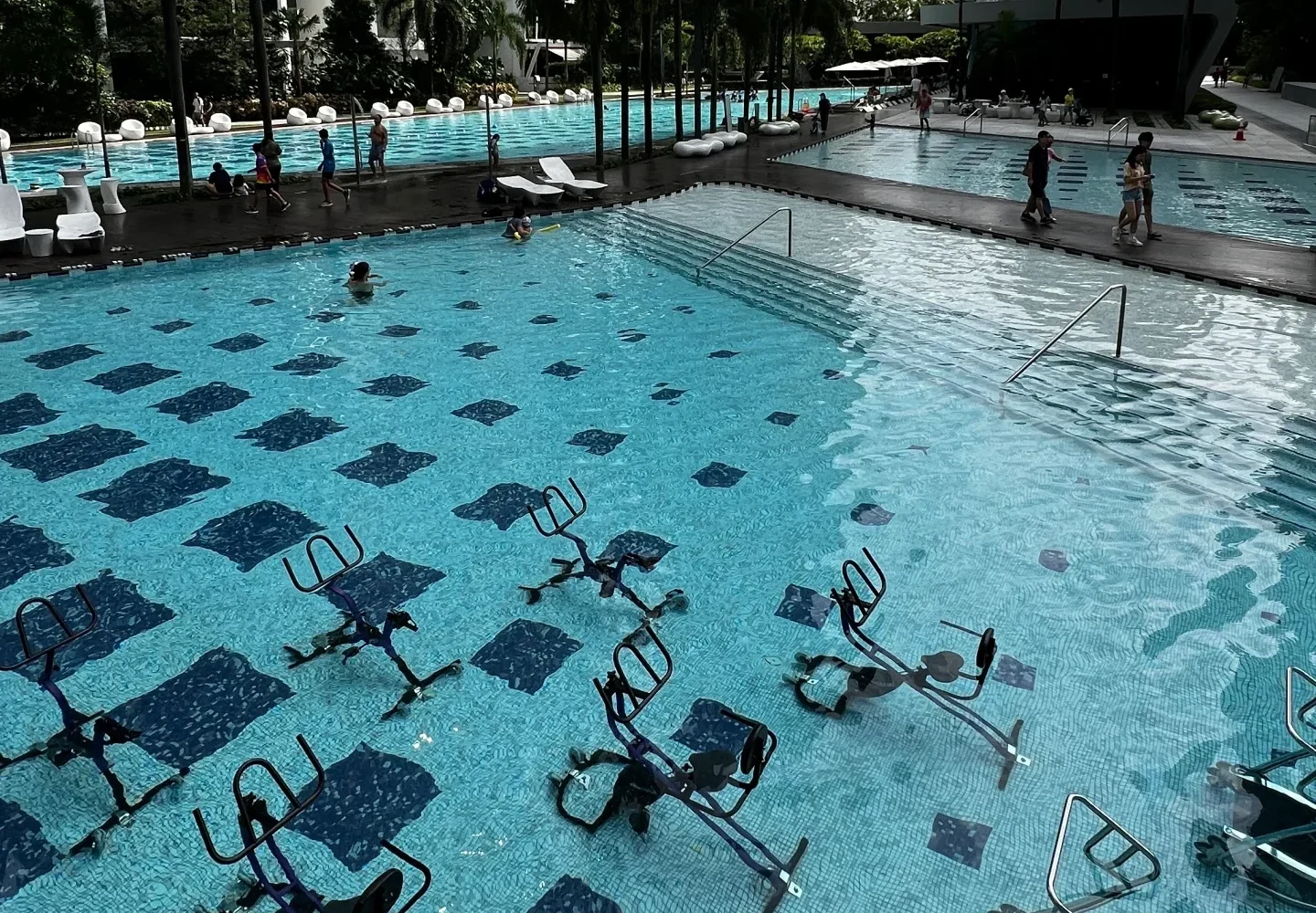 Public Pool Swimming Lessons in Singapore